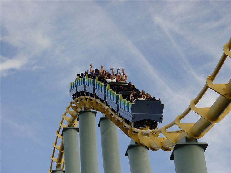Picture Of Shark Roller Coaster